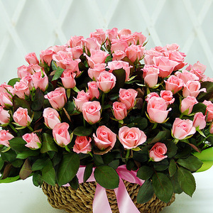 장미꽃 바구니 핑크 100송이 프로포즈 선물