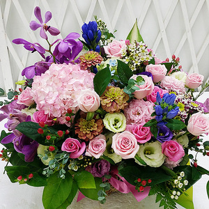 [프리미엄]양재꽃시장 에서 보내는 예쁜 핑크수국 꽃바구니 생일선물!!